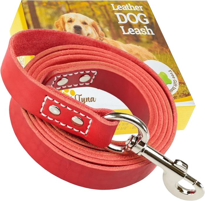 ADITYNA Heavy Duty Leather Dog Leash 6ft